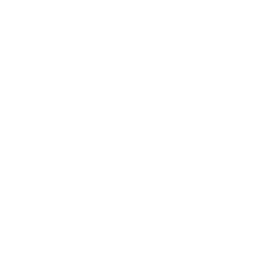 Icono mapa 2